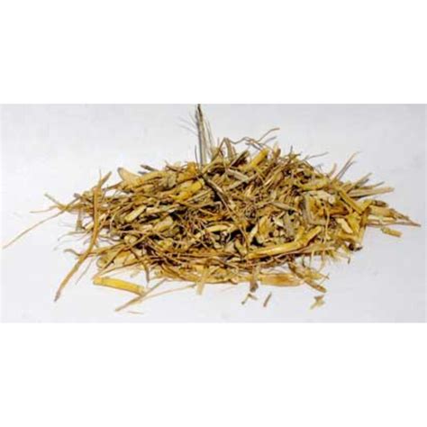 Witchcraft grass seed